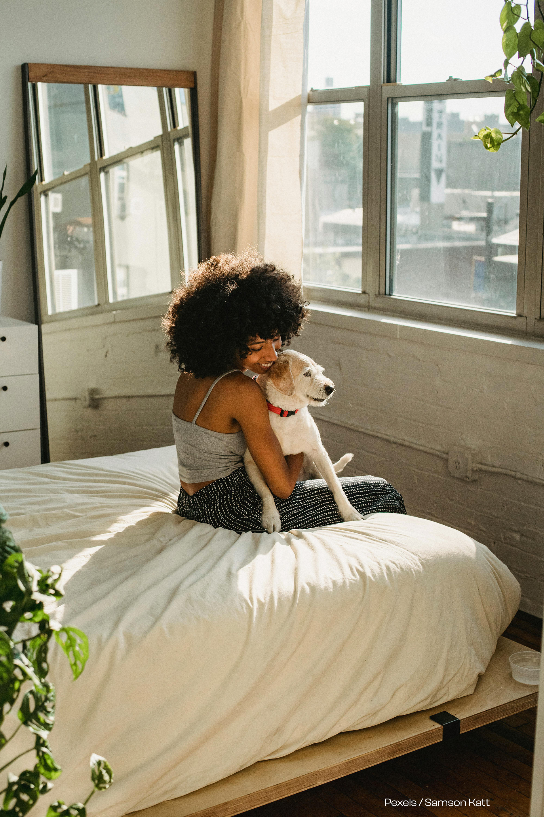 Freude mit Hund, Schlafzimmer mit Hund